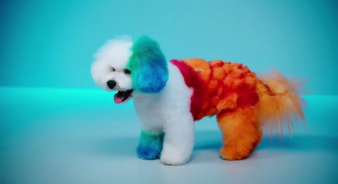Picking the Perfect Pooch: A Comprehensive Guide